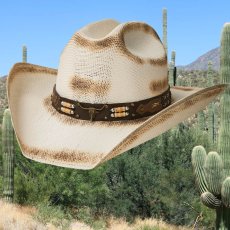 画像1: ブルハイド ロングホーン ウエスタン ストローハット（ナチュラル）/Bullhide Rockin' Bull Western Straw Hat(Natural) (1)