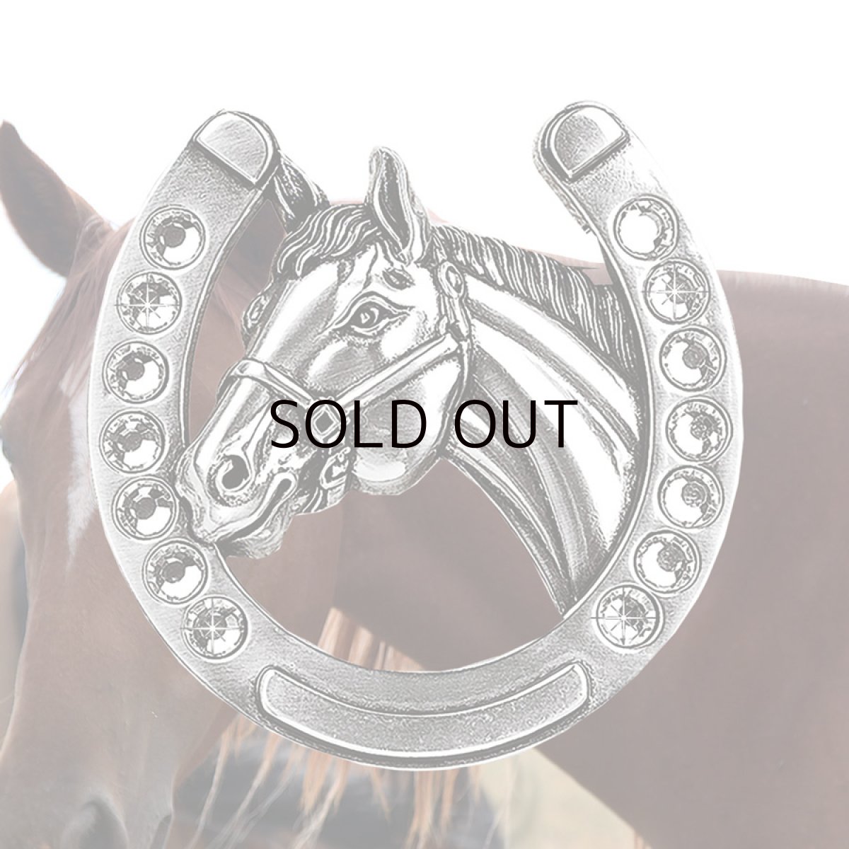 画像1: ノコナ ブレイジンロックス ホース&ホースシュー ラインストーン ベルト バックル（シルバー）/Nocona Blagin Roxx Horseshoe&Horsehead Belt Buckle (1)