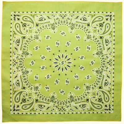 画像2: バンダナ ハバハンク HAV-A-HANK ペイズリー リバーシブル（表裏別カラー）レモン・ライム/Bandana Paisley Reversible