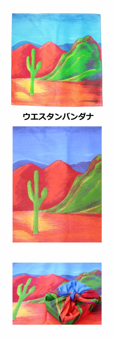 画像1: ハバハンク HAV-A-HANK ウエスタン バンダナ サボテン/Bandana Cactus