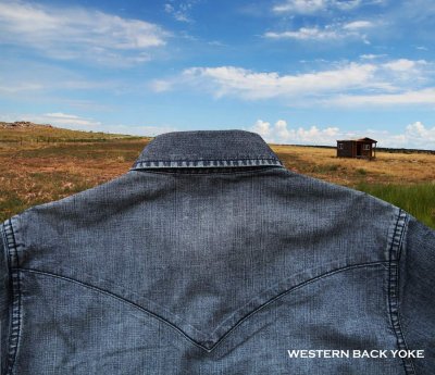 画像3: ステットソン ウエスタン デニム シャツ（デニムブルー）/Stetson Rugged Denim Shirt(Denim Blue)