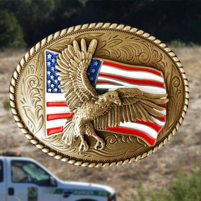 画像1: ノコナ ベルト バックル アメリカンイーグル・星条旗（アンティークゴールド）/Nocona Belt Buckle American Eagle American Flag(Antique Gold)