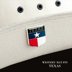 画像2: テキサス TEXAS ウエスタン ハットピン/Pins (2)