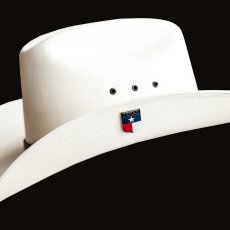 画像3: テキサス TEXAS ウエスタン ハットピン/Pins (3)