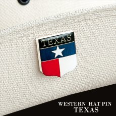 画像1: テキサス TEXAS ウエスタン ハットピン/Pins (1)