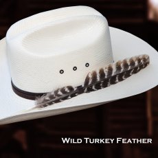 画像6: ワイルドターキー Wild Turkeyの羽 フェザー（長さ30cm〜33cm） (6)