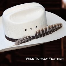 画像6: ワイルドターキー Wild Turkeyの羽 フェザー（長さ30cm〜33cm） (6)