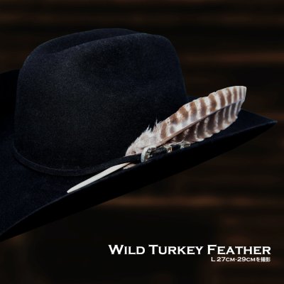 画像1: ワイルドターキー Wild Turkeyの羽 フェザー（長さ24cm〜26cm）