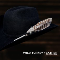 画像7: ワイルドターキー Wild Turkeyの羽 フェザー（長さ30cm〜33cm） (7)