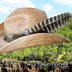 画像1: ワイルドターキー Wild Turkeyの羽 フェザー（長さ30cm〜33cm） (1)