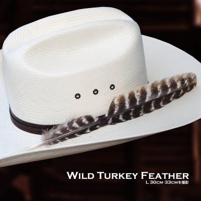 画像2: ワイルドターキー Wild Turkeyの羽 フェザー（長さ30cm〜33cm）