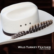 画像1: ワイルドターキー Wild Turkeyの羽 フェザー（長さ27cm〜29cm） (1)