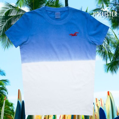 画像1: ホリスター 刺繍ロゴ 半袖 Tシャツ ブルー・ホワイトS/Hollister Short Sleeve TShirt(Blue/White)　　　