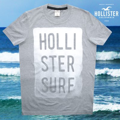 画像1: ホリスター 半袖 Tシャツ グレーS/Hollister Short Sleeve T-Shirt HOLLISTER SURF
