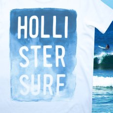 画像2: ホリスター 半袖 Tシャツ ホワイトS/Hollister Short Sleeve T-Shirt HOLLISTER SURF (2)