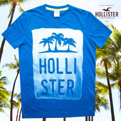 画像1: ホリスター パームツリー 半袖 Tシャツ スカイブルーS/Hollister Short Sleeve T-Shirt HOLLISTER