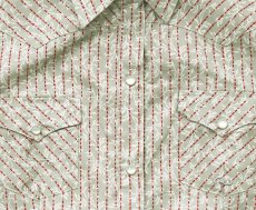 画像3: 上品なストライプのノースリーブシャツ（セージグリーン・ホワイト・レッド）/Roper Western Shirt Sage Green White Red (Sleeveless/Women's)  (3)