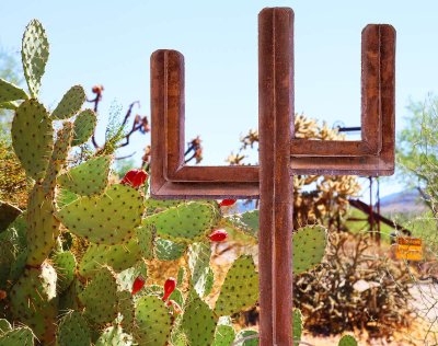 画像1: サウスウエスト サグアロ カクタス サボテン ガーデン ラージ メタルアート オブジェ（ラスト）/ Southwest Rusted Metal Saguaro Cactus Yard Art