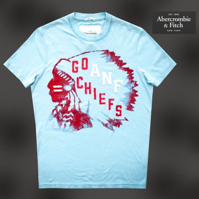 画像1: アバクロンビー＆フィッチ 半袖 Tシャツ（インディアン・ライトブルー）M/Abercrombie&Fitch T-shirt