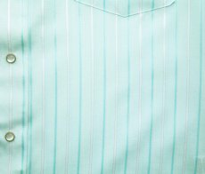 画像4: ローパー クラシック ストライプ ウエスタン シャツ（アクア/半袖）S/Roper Short Sleeve Western Shirt(Aqua) (4)