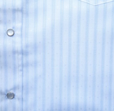 画像2: ローパー クラシック ストライプ ウエスタン シャツ（ブルー/半袖）S/Roper Short Sleeve Western Shirt(Blue Tonal)