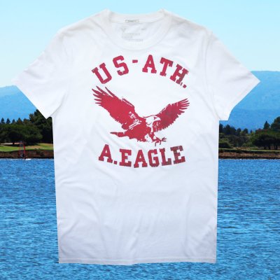 画像1: アメリカン イーグル アウトフィッターズ 半袖 Tシャツ（ホワイト・アメリカンイーグル）L（身幅約54cm）/American Eagle Outfitters T-shirt
