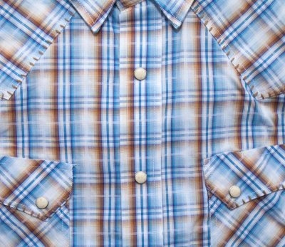 画像3: パンハンドルスリム ラフストック ウエスタン シャツ（ブルー・ブラウン/長袖）/Rough Stock Long Sleeve Western Shirt by Panhandle Slim(Powder Blue)