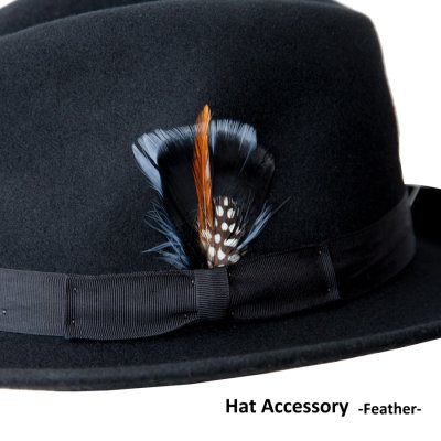 画像1: ハット 帽子用 アクセサリーフェザー 羽飾り（ブラック）/Hat Feather Black