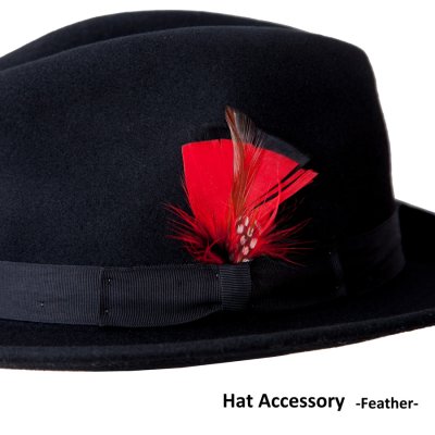 画像1: ハット 帽子用 アクセサリーフェザー 羽飾り（レッド）/Hat Feather Red