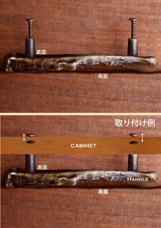 画像5: 取っ手 キャビネットハンドル ブラス 鹿の角デザイン/Antler Cabinet Handle(Brass) (5)