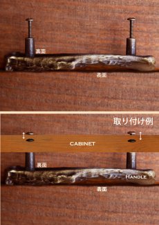 画像5: 取っ手 キャビネットハンドル ブラス 鹿の角デザイン/Antler Cabinet Handle(Brass) (5)