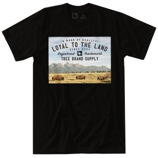 Tシャツ・ポロシャツ