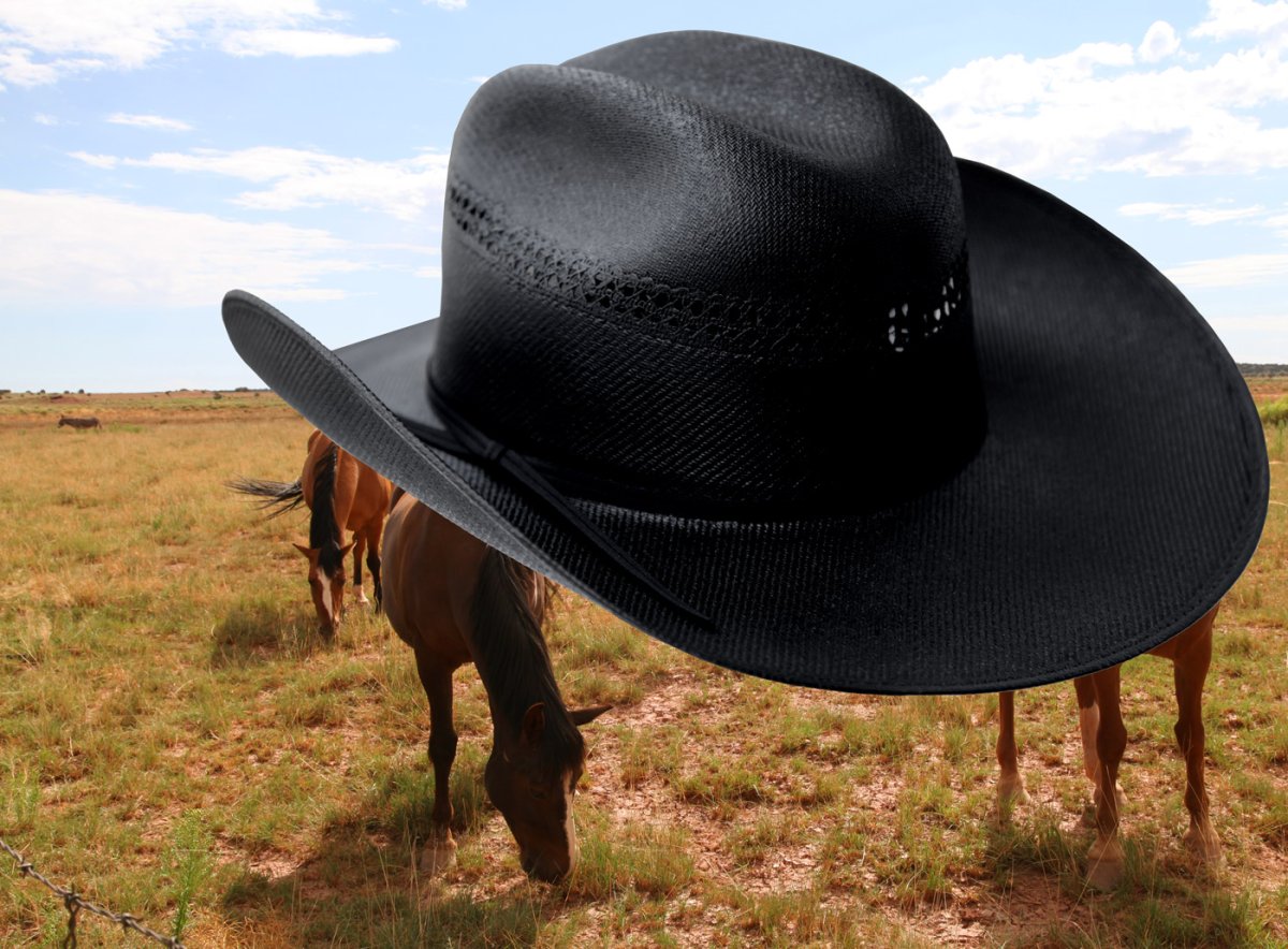 画像2: ブルハイド ウエスタン カウボーイ ストローハット ブラックゴールド10X（オールドウエスト・ブラック）/Bullhide Straw Cowboy Hat Black Gold 10X(Black) (2)