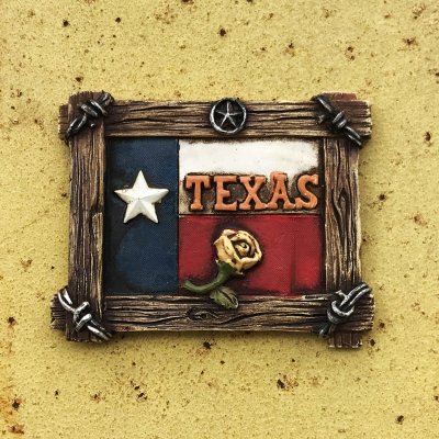 画像1: マグネット テキサス 州旗 ローンスター フォトフレーム アマリロ・テキサスの黄色い薔薇/Magnet TEXAS Lone Star The Amarillo Yellow Rose of Texas