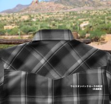 画像3: ラングラー 20X 半袖 ウエスタンシャツ ブルーマルチ S/Wrangler 20X Short Sleeve Western Shirt(Blue Multi) (3)