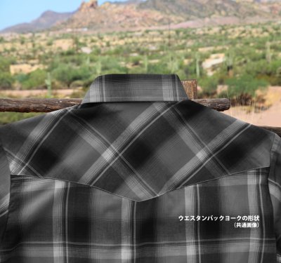 画像3: ラングラー 20X 半袖 ウエスタンシャツ ブルーマルチ S/Wrangler 20X Short Sleeve Western Shirt(Blue Multi)