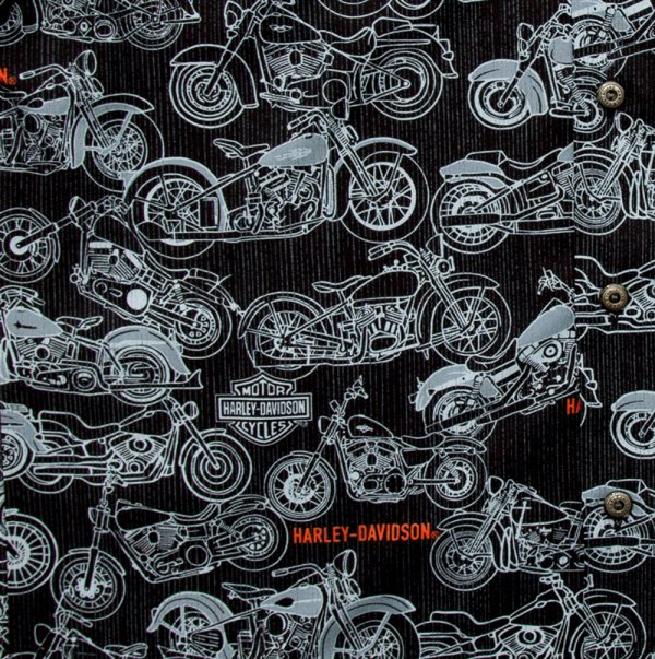 ハーレーダビッドソン トリリチャード アメリカ製 モーターサイクル