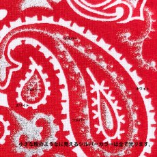 画像3: 光るバンダナ ハバハンク HAV-A-HANK ペイズリー（レッド・ホワイト・シルバー）/Bandana Paisley Red/White/Silver (3)