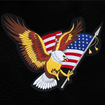 画像1: ワッペン ラージサイズ アメリカンイーグル&星条旗 （29cm×34cm）/Patch American Eagle& U.S.Flag
