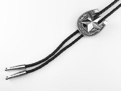 画像2: ウエスタン ボロタイ ホースシュー・★スター/Double S Western Bolo Tie Horseshoe w/Star