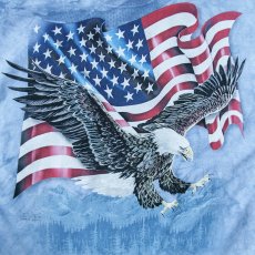 画像2: アメリカンイーグル＆星条旗 半袖Tシャツ（ライトブルー）/T-shirt  (2)