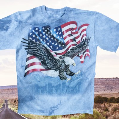 画像1: アメリカンイーグル＆星条旗 半袖Tシャツ（ライトブルー）/T-shirt 