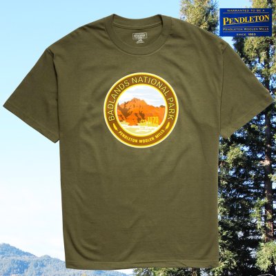 画像1: ペンドルトン Tシャツ バッドランズ ナショナルパーク(オリーブ)S/Pendleton Badlands National Park T-shirt(Olive)