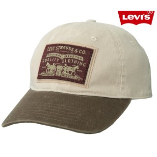 フォード ロゴ&アメリカ国旗 刺繍 ビンテージ キャップ/Ford Cap(Light