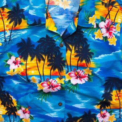 画像2: レディース アロハシャツ アメリカ・ハワイ製（ブルー・ハワイ）/Aloha Shirt(Women's)