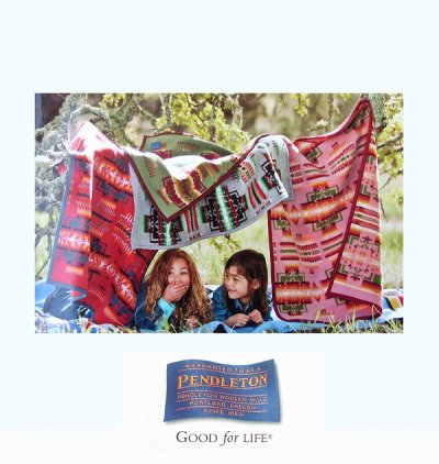 画像3: ペンドルトン ムチャチョ ブランケット（サンズ オブ ザ スカイ）/Pendleton Sons of the Sky Muchacho Blanket