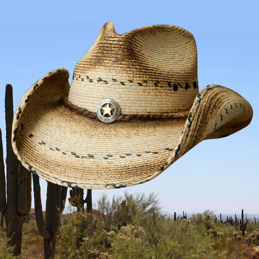 画像1: スター＆パーム ウエスタン ストローハット（ナチュラル）/Western Straw Hat（Natural) (1)