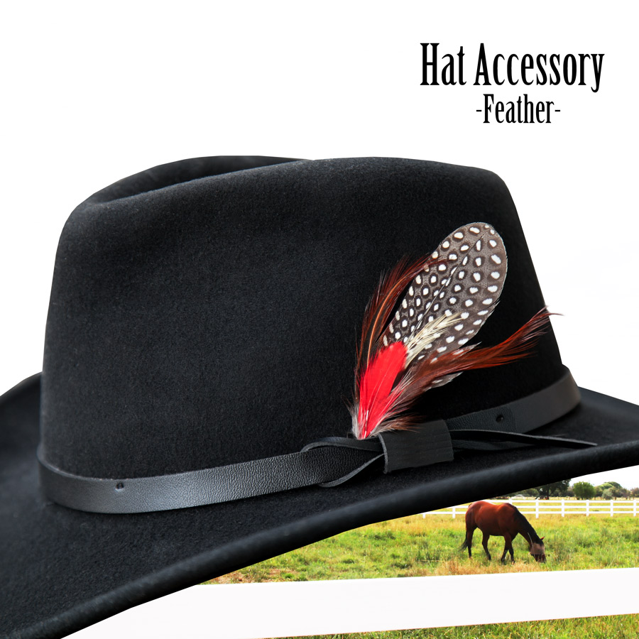 カウボーイハット用 フェザー 羽飾り（レッドフェザー・ホロホロ鳥フェザー入り） /Feather ウールハット・レザーハット・コットンハット