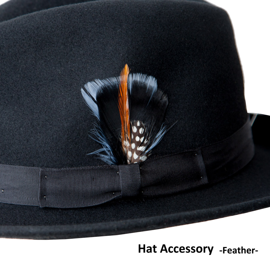 画像1: ハット 帽子用 アクセサリーフェザー 羽飾り（ブラック）/Hat Feather Black (1)