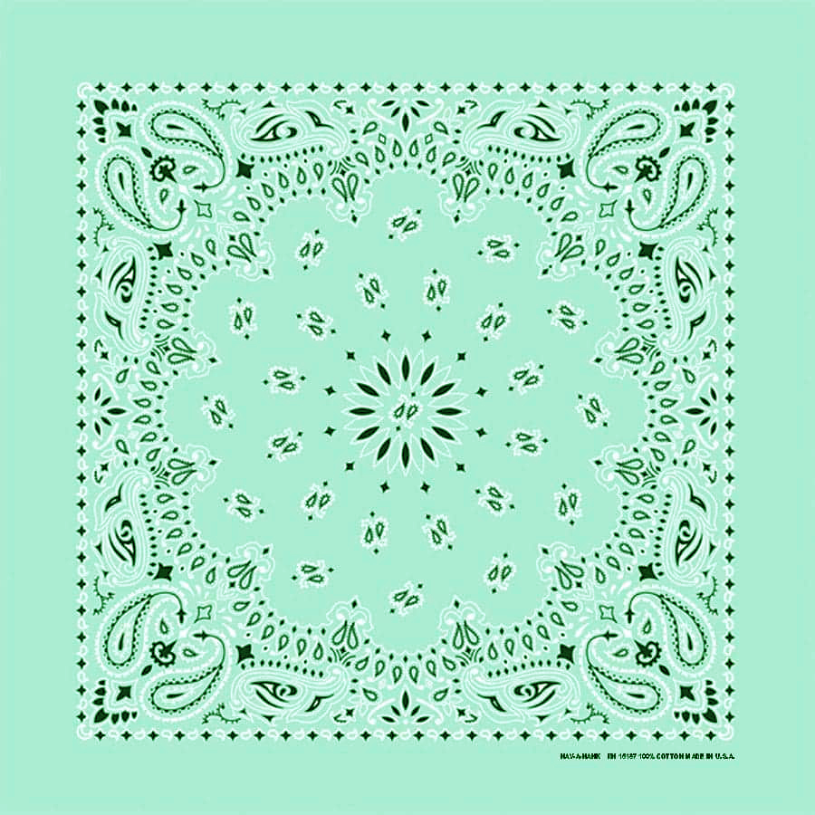 バンダナ ハバハンク HAV-A-HANK ペイズリー/Bandana Paisley
